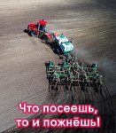 Скоро в поле